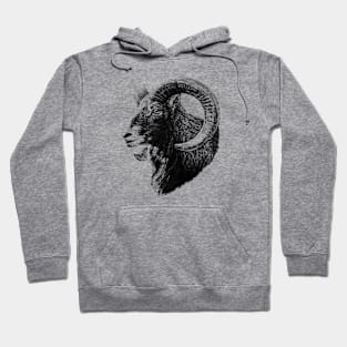 Mouflon Hoodie